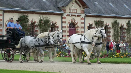 Haras de Saint-Lô