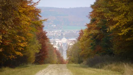 Parc naturel de Lorraine
