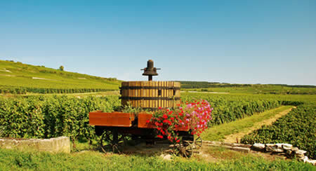 Camping en Bourgogne : vignoble, canaux et grands crus