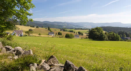 Camping dans les Vosges