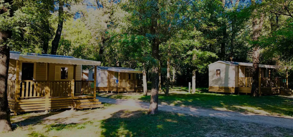 CAMPING DU LION