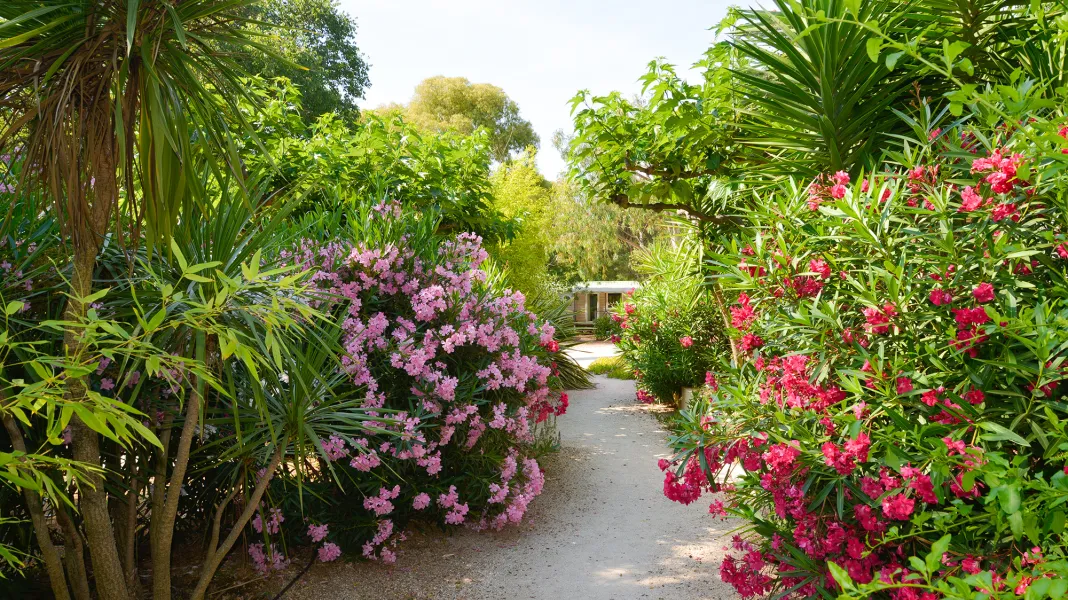 CAMPING MAUVALLON 2 CAP GARONNE