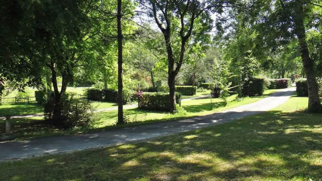 CAMPING LE MOULIN DE DAVID