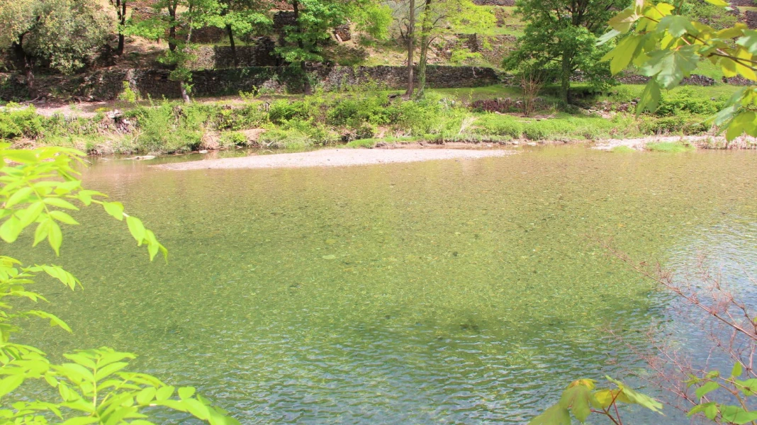 CAMPING LE MOULIN DU LUECH