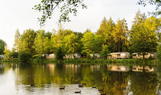 Camping Sunelia l'Etang de Sologne
