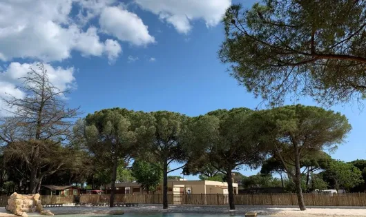 Camping La Tamarissière