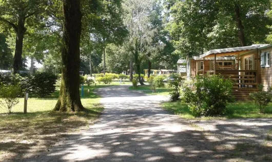 Camping OAKi
