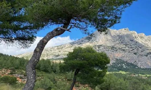Camping Le Cezanne