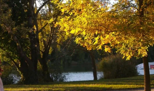 Camping Le Rupé