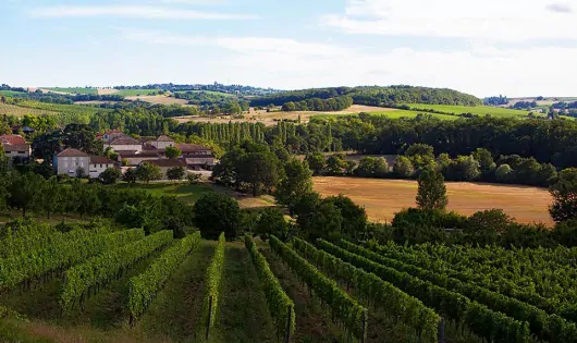 Camping Le Camp De Florence