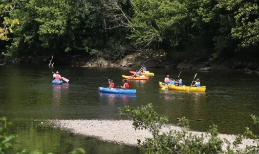 Camping Les Rives de la Dordogne