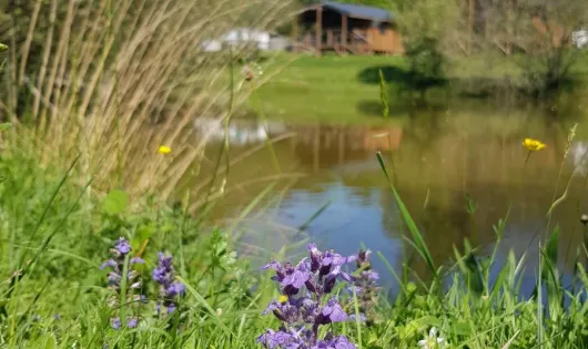 Camping La Motte