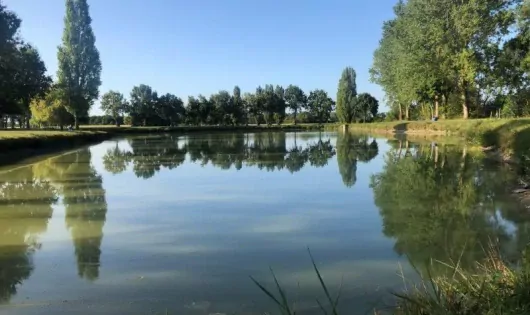 Camping De La Grande Pature