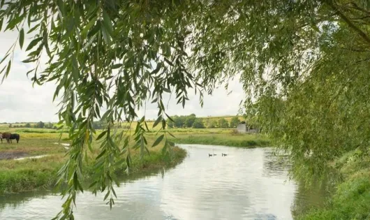 Camping Le Clos du Moulin
