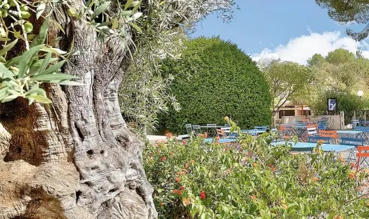 Club Belambra Les Terrasses de St Paul-de-Vence