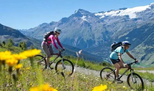 VVF Villages - Le Parc de la Vanoise - Lanslevillard