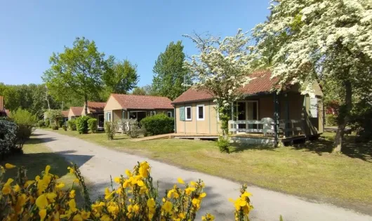 CARAVANING L'OREE DU BOIS