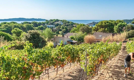 Domaine de la Presqu'île de Giens