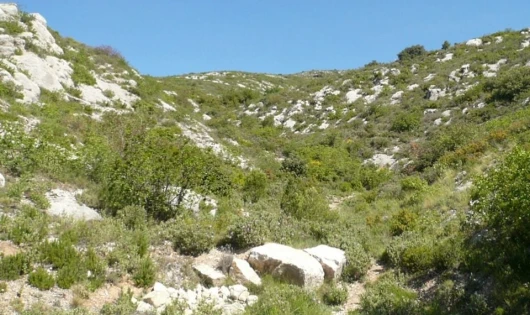 Camping de Puyloubier-Aquadis Loisirs