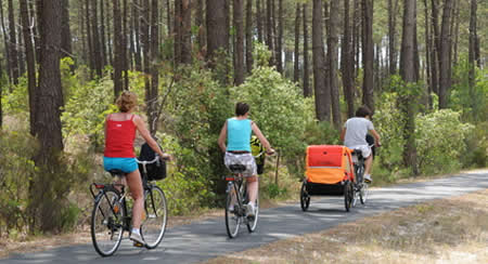 151 campings dans les Landes 