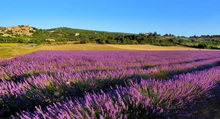 64 campings dans le Vaucluse 